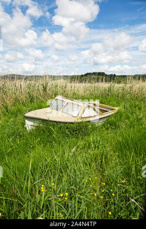 Abgebrochene Motorboot in Schilf Stockfoto