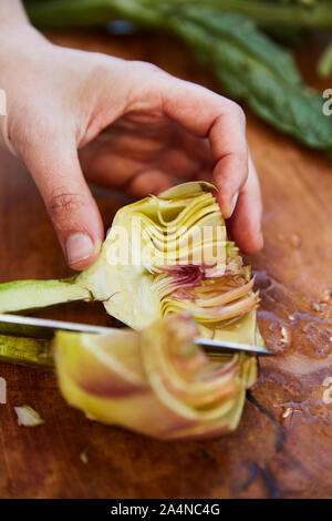 Person schneiden frische Artischocken Stockfoto