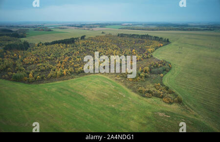 Zerstörte Wald nach menschlichen Handelns Antenne drone Ansicht um grünen Wald Stockfoto