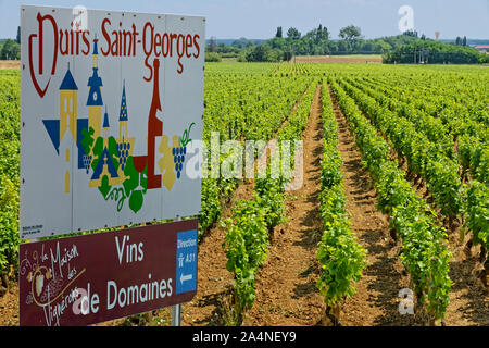 Unterschreiben Sie bei Wein Dorf von Nuits Saint-Georges in der Region Burgund, Bourgogne Franche-Compté, Frankreich. Stockfoto