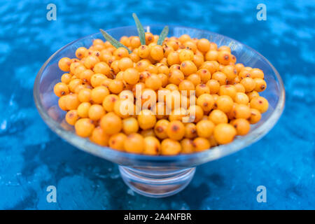 Sanddorn Beeren in eine Glasplatte Stockfoto
