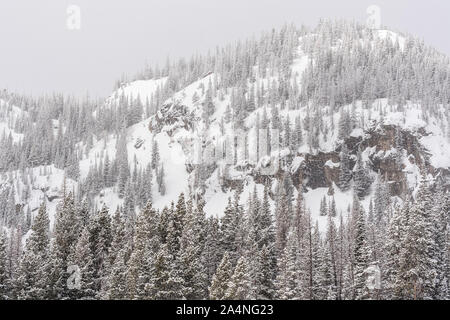 Ein Schneesturm fährt fort, den Wald der Rocky Mountains Decke im Rocky Mountain National Park, Colorado auf. Stockfoto