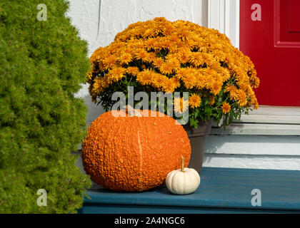 Herbst Anordnung vor der Tür eines Hauses. Stockfoto