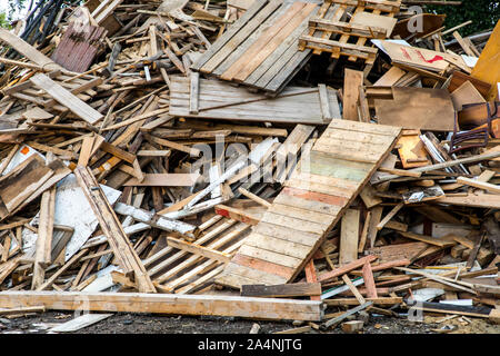 Altholz, für die weitere Verarbeitung als Brennholz, Hackschnitzel, Stockfoto