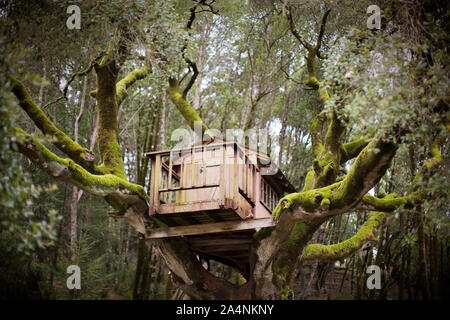Holz- baum Hütte in den Ästen eines Baumes im Land sitzen. Stockfoto