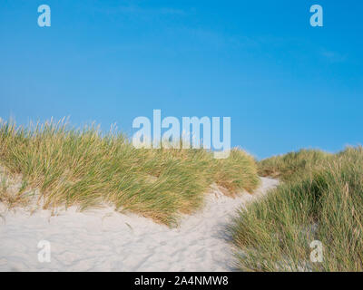 Dünen Landschaft in Deutschland Stockfoto