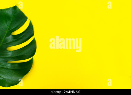 Tropische Blätter Monstera Blume auf einem gelben Hintergrund. Kreative Anordnung dieser tropische Blätter auf einem gelben Hintergrund. Sommer Konzept. F Stockfoto