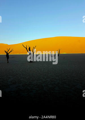 Dunkle Vordergrund von morgen Schatten und hellen goldenen Dünen unter cdlear blauen Himmel von morgen Schatten als Sonne über Wüste in Sossusvlei in Namibia Stockfoto