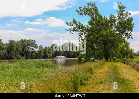 Ein Boot oder Cruiser namens 'Blitz' auf dem River Yare an Hardley Sümpfe, Norfolk Broads, Norfolk, England, Großbritannien Stockfoto