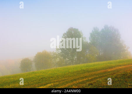 Bäume in buntes Laub auf der Wiese im Nebel. wunderschöne Herbstlandschaft am Morgen. Wunderbare Natur Hintergrund in der nebligen Wetter Stockfoto