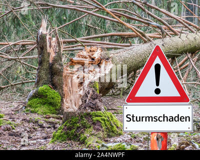 Warnung Sturm Schäden auf dem Schild "Baum im Deutschen Stockfoto