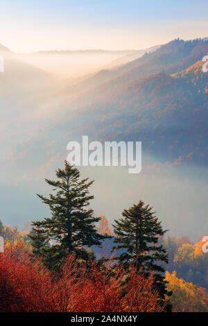 Misty Sonnenaufgang in den Bergen. schöne Herbstwetter. schöne Natur Landschaft vom Gipfel eines Hügels beobachtet. Bäume in bunten Herbstfarben. Nebel gl Stockfoto