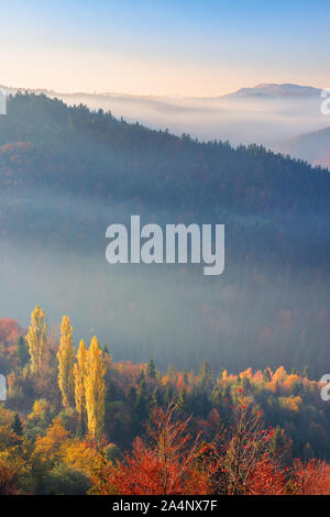 Misty Sonnenaufgang in den Bergen. schöne Herbstwetter. schöne Natur Landschaft vom Gipfel eines Hügels beobachtet. Bäume in bunten Herbstfarben. Nebel gl Stockfoto