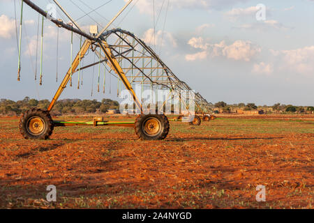 Bereich Kulturpflanzen bewässerten in Südafrika und Botswana, die industrielle Landwirtschaft Stockfoto