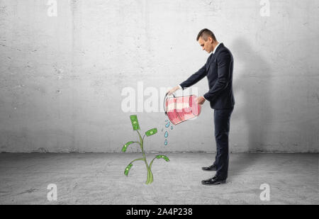 Unternehmer in voller Höhe im Profil mit roten Eimer mit Wasser aus Gießen auf Money Tree Stockfoto