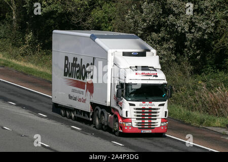 Fracht Fracht buffaload Scania Lkw Richtung Norden reisen auf der Autobahn M6 in der Nähe von Garstang in Lancashire, UK. Stockfoto