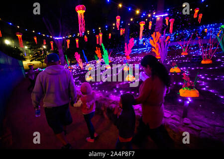 Los Angeles, USA. 14 Okt, 2019. Menschen sehen Exponate auf "Kürbis Nacht' in Los Angeles, USA, am Okt. 14, 2019. Credit: Qian Weizhong/Xinhua/Alamy leben Nachrichten Stockfoto