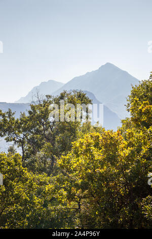 Silhouette von einem Spitzen fernen Gipfel an einem klaren Tag und Goldener Herbst Blätter an den Bäumen im Vordergrund. Stockfoto