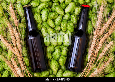 Ein Glas Flaschen Bier, grüne Kegel von Hopfen und Weizen Korn Ansicht von oben. Stockfoto