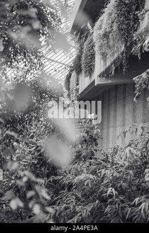 Barbican Wintergarten Stockfoto