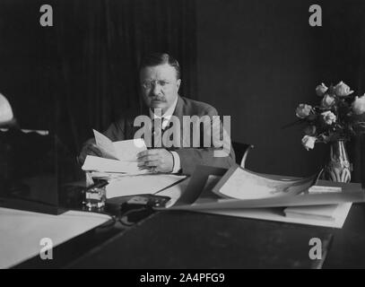 Theodore Roosevelt (1858-1919), 26. Präsident der Vereinigten Staaten von 1901-09, sitzt am Schreibtisch, Fotografie Portrait von Barnett McFee Clinedinst, 1904 Stockfoto