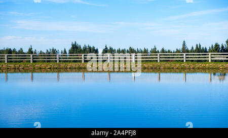 Ruhigen See mit Bäumen symmetrisch in der sauberen blauen Wasser spiegelt, ruhigen Landschaft, die Einsamkeit und die Getaway Konzept, Rogla, Slowenien Stockfoto