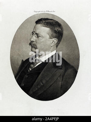 Theodore Roosevelt (1858-1919), 26. Präsident der Vereinigten Staaten von 1901-09, Kopf und Schultern Portrait, Fotografie von G. Barrie & Söhne, 1906 Stockfoto