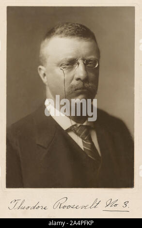 Theodore Roosevelt (1858-1919), 26. Präsident der Vereinigten Staaten von 1901-09, Kopf und Schultern Portrait als Gouverneur von New York, Foto: R.W. Thatcher, 1900 Stockfoto