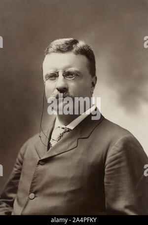 Theodore Roosevelt (1858-1919), 26. Präsident der Vereinigten Staaten von 1901-09, halber Länge Porträt als Gouverneur von New York, Foto von George Prince, Juli 1900 Stockfoto