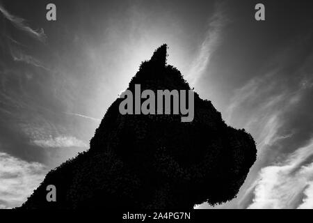 Schwarz-Weiß-Silhouette von Jeff Koons' Puppy-Skulptur vor einem hellen Himmel, Guggenheim-Museum Bilbao, Spanien Stockfoto