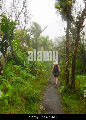 Eine Frau, die zu Fuß in einer schmalen Pfad, obwohl El Yunque Regenwald Puerto Rico Stockfoto