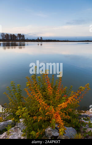 Herbstliche Farben auf dem Display entlang der Steveston Waterfront in British Columbia Kanada Stockfoto