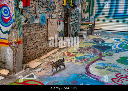 Street cat Walking in einem Istanbul Gasse (yaprak Çk. Emekyemez). Gasse in der Straße Kunst dekoriert. Stockfoto