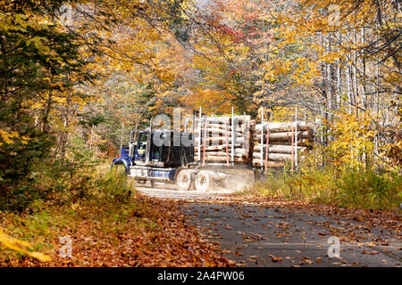 Ein Traktor Anhänger mit Zellstoff Rundholz auf einer Protokollierung Straße in den Adirondack Mountains geladen, NY USA Wüste im Spätherbst. Stockfoto