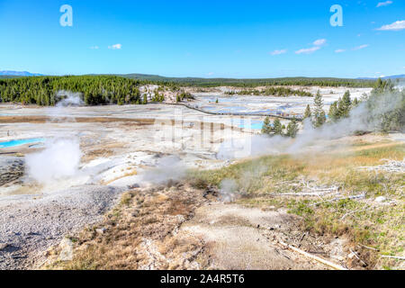 Vulkanische Rauch steigt aus den geothermischen Anlagen aus Porzellan Waschbecken boardwalk Trail bei Norris Geyser Basin im Yellowstone National Park, Wyoming, USA. Stockfoto