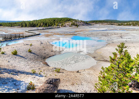 Geothermische Pools im Porzellan Waschbecken boardwalk Trail in Norris Geyser Basin des Yellowstone National Park, Wyoming, USA. Stockfoto