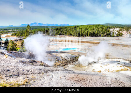 Vulkanische Rauch steigt aus den geothermischen Anlagen aus Porzellan Waschbecken boardwalk Trail bei Norris Geyser Basin im Yellowstone National Park, Wyoming, USA. Stockfoto