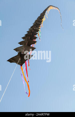 DELHI, INDIEN, verschiedene Arten von Drachen fliegen in der Luft am India Gate Rasen während der jährlichen Drachenfest in Neu Delhi Stockfoto