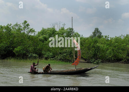 Angeln ist eine der wichtigsten Lebensgrundlagen in den Sundarbans, in Satkhira, Khulna, Bangladesh. April 1, 2011. Ein UNESCO-Weltkulturerbe, es ist der größte Mangrovenwald der Welt mit einer Fläche von etwa 10.000 Quadratkilometern, von denen 60 % in Bangladesch liegt und der Rest in West Bengal, Indien. Die Sundarbans ist die Heimat der Royal Bengal Tiger und bietet ein einzigartiges Ökosystem und die Reihe der Lebensräume für eine Vielzahl von Wildtieren. Neben der Tiger, es gibt 42 Arten von Säugetieren, 35 Reptilien und Amphibien, 270 Vogelarten und über 120 Arten von Fischen. Viele von diesen sind Stockfoto