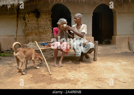 Ein älterer Mann aus der Santal Gemeinschaft kümmert sich um seine Frau, an den Hof von seinem Haus, in Joypurhat, Rajshahi, Bangladesch. 20. Mai 2011. Die Santals sind eine ethnische Minderheit leben in der Gemeinschaft in den verschiedenen Bezirken von Rajshahi Division in Bangladesch. Die meisten nicht Land und arbeiten als täglich bezahlte Arbeiter für sehr niedrige Löhne. Viel von den Fortschritten in der Technologie wurden umgangen Diese isolierten Gemeinschaften, in denen Männer dominieren und Frauen die Last der Landwirtschaft und Durchführen anderer Existenzgrundlagen.. Santals sind auch die größte ethnische Gruppe in Indien, wo Sie Siedlungen in der stat Stockfoto