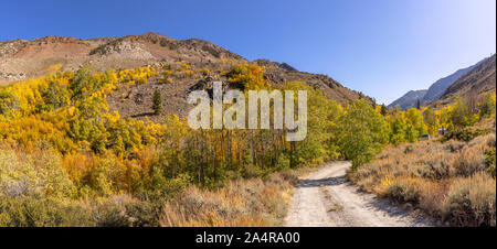 Herbstfarben Bischof Kalifornien Stockfoto