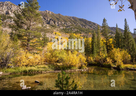 Herbstfarben Bischof Kalifornien Stockfoto