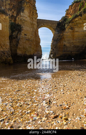 Muscheln und Römische Brücke bei Praia dos Estudiantes (Student Strand) in der Nähe von Lagos, Algarve, Portugal Stockfoto