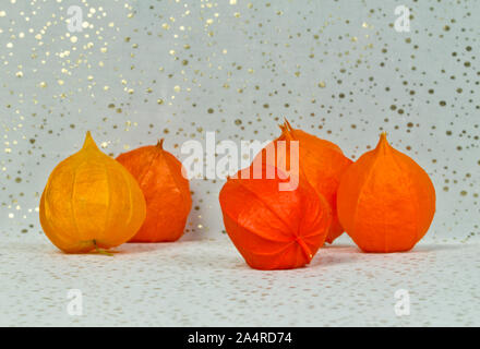 Einige Blüten der Orange Erdbeer groundcherry sind zusammen am Boden und eine schöne Anordnung auf eine weiße, glitzernde Masse erstellen Stockfoto