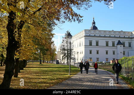 Vilnius, Litauen. 15 Okt, 2019. Menschen gehen an einem Park in der Nähe des Cathedral Square im Herbst Landschaft in Wilna, Litauen, 15. Oktober 2019 zu sehen. Quelle: Guo Mingfang/Xinhua/Alamy leben Nachrichten Stockfoto