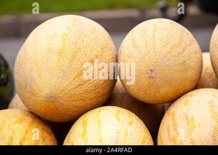 Frische gelbe Melone. Viele Melonen der Farmers Market. Honigmelone. Stockfoto