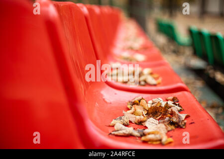 Leer sport rot steht in die Blätter im Herbst. Gelbe Blätter liegen auf dem Roten Platz der Standplätze. Kunststoff erforderlich Sitze sind mit Baum Laub im Herbst fallen. Stockfoto
