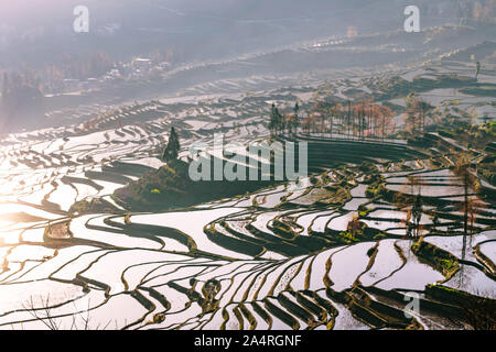 Terraced Rice Fields von YuanYang, China am Morgen Stockfoto