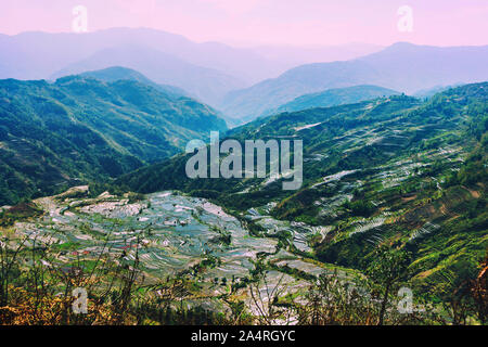 Terraced Rice Fields von YuanYang, China am Morgen Stockfoto