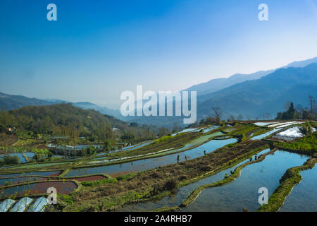 Terraced Rice Fields von YuanYang, China am Morgen Stockfoto